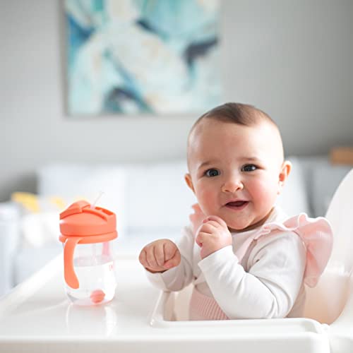 Dr. Brown'S TC91103-P12 Milestones Baby'S First Straw Cup thumb #4