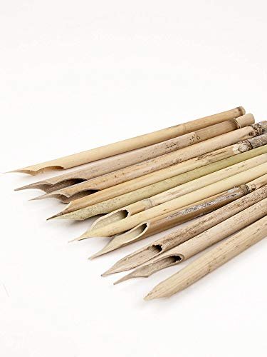 Juego de 10 bolígrafos de caligrafía, caña de escribir, caligrafía, calambres