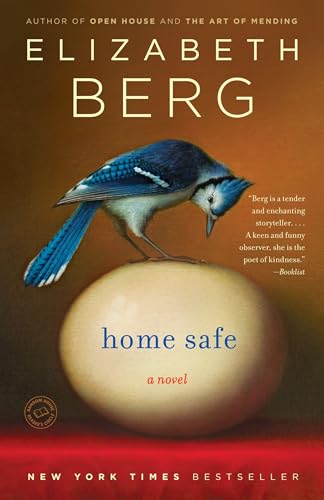 Home Safe: A Novel view 2
