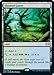 Magic: The Gathering - Flooded Grove - Double Masters