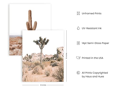 Haus And Hues Desert Succulent Wall Art & Botanical Prints Set Of 6 Southwestern Wall Decor, Cactus Art Prints, Joshua Tree Wall Art, Desert Art Cactus Wall Decor Posters Nature Unframed (8X10) #TOP1