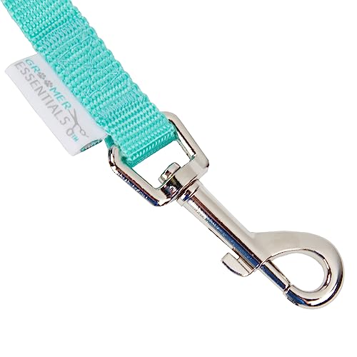 Quick-Release-Loop-Turquoise