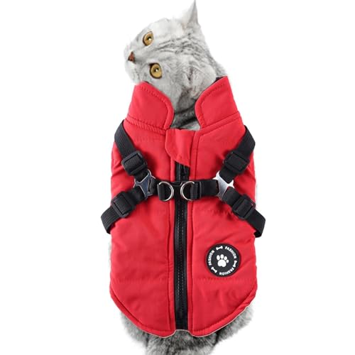 ybghR[g - n[lX D Ot̖hWPbg - ̃R[g n[lX ~gxXg WPbg h Rbg RX`[