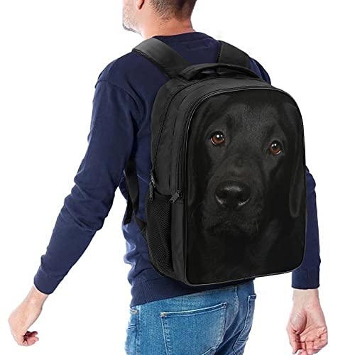 Sac à dos Labrador résistant 40x28x16cm - Solution de transport confortable mixte