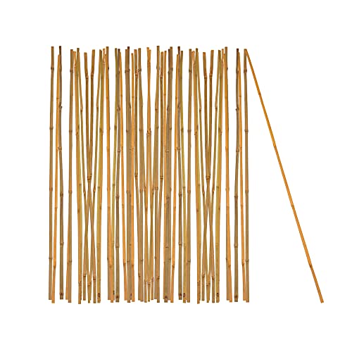 BigDean 50x Pflanzstab Bambusstab 105 cm x 8-10 mm Bambus Rankhilfe Pflanzstab Tonkinstab 100% Naturprodukt Pflanzstäbe Bambusstäbe Bambusstangen