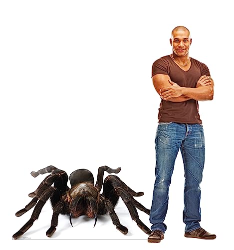Image of Cardboard People Giant Tarantula Life Size Cardboard Cutout Standup - Made in USA