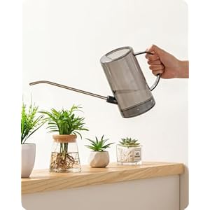 Baffect Gieter van 1 liter, heldere cilindrische gieter met roestvrijstalen schenktuit, tuininstallatie, irrigatiegereedschap voor kamerplanten, bureau, planten, binnen en buiten