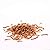 5kg Wild Bird Dried Mealworms