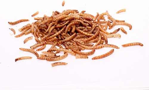 5 kg de vers de farine séchés pour oiseaux sauvages