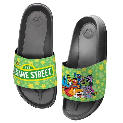 Popfunk Sesame Street Group Unisex Adult Slides Sandals Officially Licensed Hypd Slydr Switch™3