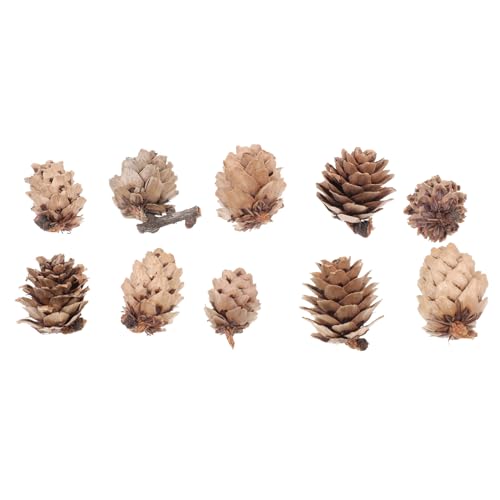 IMIKEYA 100 Aڂ  hCʍޗ y tHgvbvX 葕p NX}Xp[eB[̃t[Lh