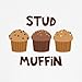 CafePress Stud Muffin Dog T Shirt Dog T-Shirt, Pet Clothing, Funny Dog Costume