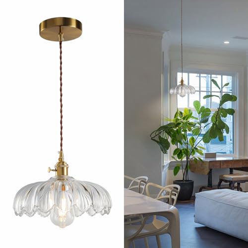 XZHGCEE Glass Pendant Lights Kitchen Island: Vintage Pendant Light Fixtures Small Pendant Light...