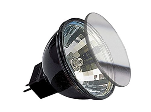 Paulmann 822.32 – Bombilla halógena GU4 35 W 12 V FTH 30 ° 2000H ø35 mm