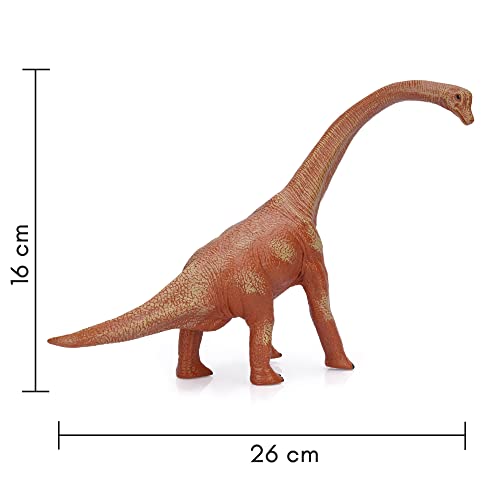 Image of Realistic T Rex Dinosaur Animal Figure for Kids Real Textured Dinosaurs Toy (Brachiosaurus (14F))