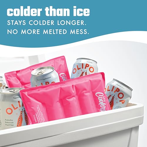 Cool Coolers by Fit & Fresh 2 Pack XL Soft Ice Packs for Cooler, Flexible Stretch Nylon, Lunch Box Ice Packs, Large Reusable Freezer Packs, Hot Pink