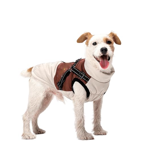 UOSIA n[lXthbOR[g~̖hptxXghbOWPbgt@bVVCR[gWbp[J[pb`[N̏Ȍp̎qWPbg