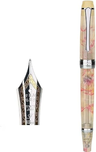 Fountain pen PENBBS 456-58 sNAN^[UNMACWEFy惉CeBOyMtgP[X