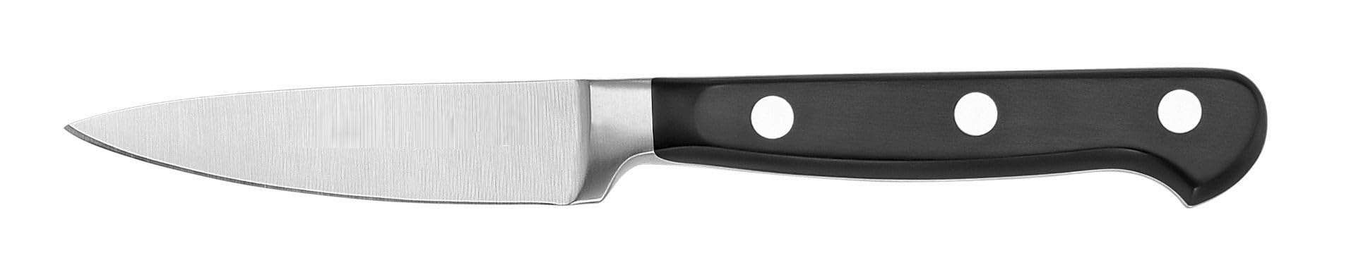 TrueCraftware- 3-1/2” Blade Paring Knife Forged German Steel- Small Fruit Knifes Razor Sharp Pairing Knives Kitchen Knives for Fruits Vegetables Home Kitchen Restaurants