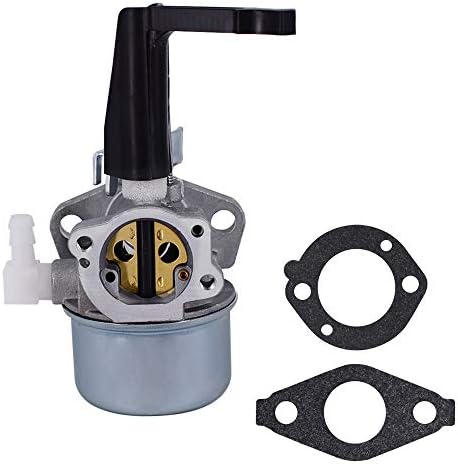696065 697422 Carburetor with Mounting Gaskets Kit Fits for Briggs & Stratton 110402 110412 215369 5HP 5.5HP 6HP Tiller Engine Carb Rototiller Troy Generator Intek Motor Water Pump Carb