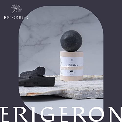 Erigeron All-In-One Black Charcoal Shampoo Bar For All Hair Types & All Skin Types - Cruelty-Free, Vegan, All Natural Ingredients Handmade With Plastic Free, Eco-Friendly & Zero Waste #TOP3
