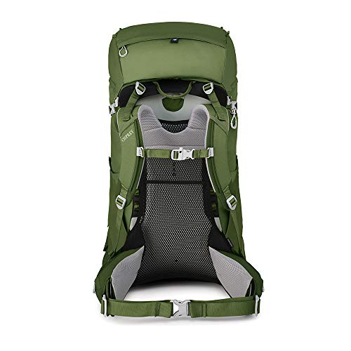Osprey Ace 75 Kid's Backpacking Backpack, Venture Green