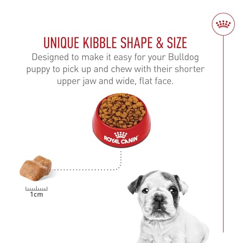 ROYAL CANIN Breed Health Nutrition Bulldog Puppy Dry Dog Food, 6-Pound by Royal Canin