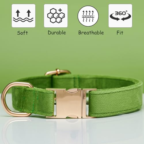Collar de terciopelo para perro pequeño y mediano, talla S verde miniatura 6