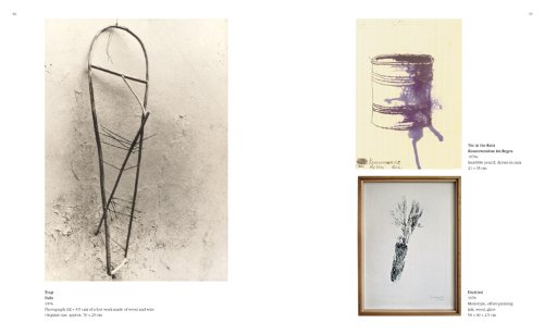 Lois Weinberger: (E/ G) (Zeitgenössische Kunst)