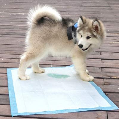 Heavy Duty 120 Count/ 90x60cm| Size: XL/L-60 cm X H- 90 cm Dog Training Pads|Training Pee and Potty Pads| Suitable for Small/Large Breed Puppies| Leak-Proof| Pack of 120 (B0BYS4GRNB) Amazon Price History, Amazon Price Tracker