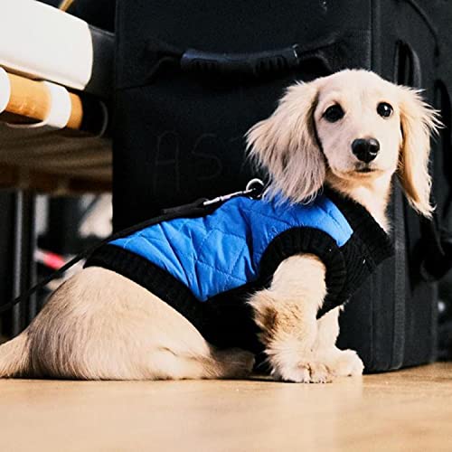 Image of Gooby Fashion Vest Dog Jacket, Blue, X-Small | Quilted bomber, water-resistant; Stretch knit bottom; Dual D-ring leash; Pain-free zipper guard; Warm