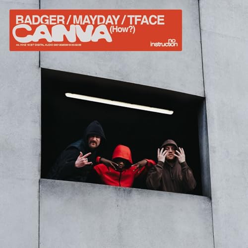 Badger, Tface & Mayday feat. DubzCo