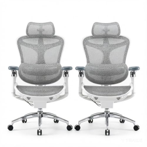 Image of SIHOO Doro C300 Pro Ergonomic Office Chair with Ultra-Soft 6D Armrests