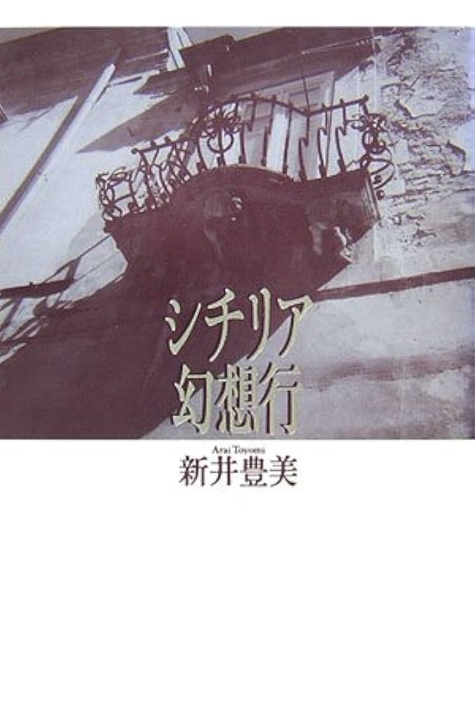 新井豊美全詩集/思潮社/新井豊美（大型本） 新井豊美全詩集/思潮社/新井豊美（大型本）