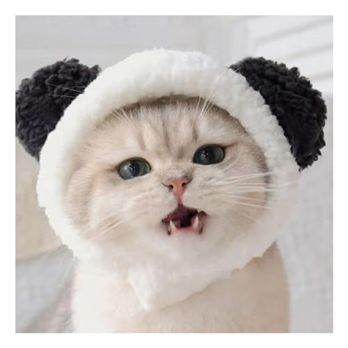 L RXv p_ 蕨 ybg Ԃ Xq RX`[ q   ʐ^ nEB p_ɑϐg t[