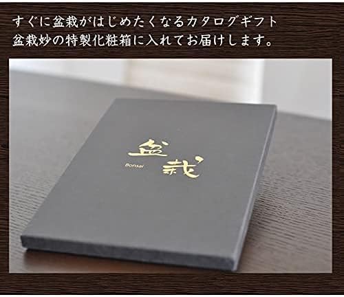 ギフト カタログギフト プレゼント 【個性派】