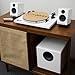 Audioengine S8 Powered Subwoofer Speaker - 250W 8-inch Home Woofer with Built-in Amplifier and Dual Audio Inputs for Home Audio