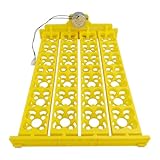 YNPQTDS Tornitore automatico incubatore di pollame con display umidità completamente digitale incubatore per polli da cova anatre oche quaglie