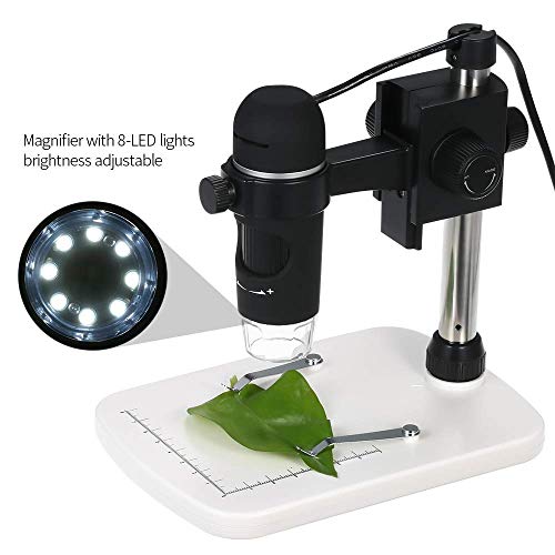 ZANYUYU Microscopio 300X ingrandimento 5M Pixel