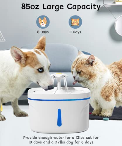 Cat-Water-Fountain-84-fl-oz25L-Ultra-Quiet-Pet-Water-Fountain-for-Cats-Inside-with-LED-Light-Activated-Carbon-Filter-Cat-Fountain-Water-Bowl-for-Cats-Dogs-Multiple-Pets