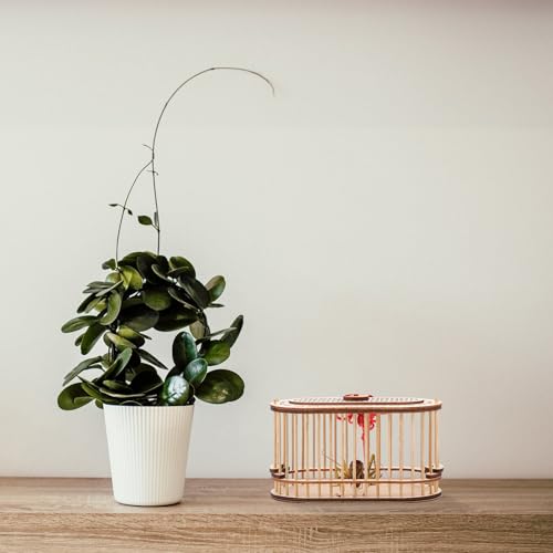 Vignette produit