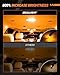 SEALIGHT 194 LED Bulb 2700K Amber, 168 2825 T10 W5W 3030 Bright LED Chips, Dome Light, Map Light, Door Light, Courtesy Light, License Plate Light, Pack of 10