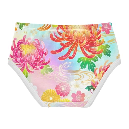 Toddler Girls Underwear 2t Cotton Panties for Girl Flower Underpants Briefs Traditional Colorful Floral2