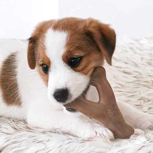 Benebone Puppy Unzerstörbare Hundekauspielzeug Geschenkbox für aggressive Kauer mit Querlenker, Fischgräten, Stock & Zaggler, lang anhaltende Langeweile Brecher, Aromen, für Welpen,