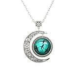 LERYDESI Sharks necklace Circling Sharks moon pendant Blue Ocean jewelry for women man best friend gift Chain length 22 inches
