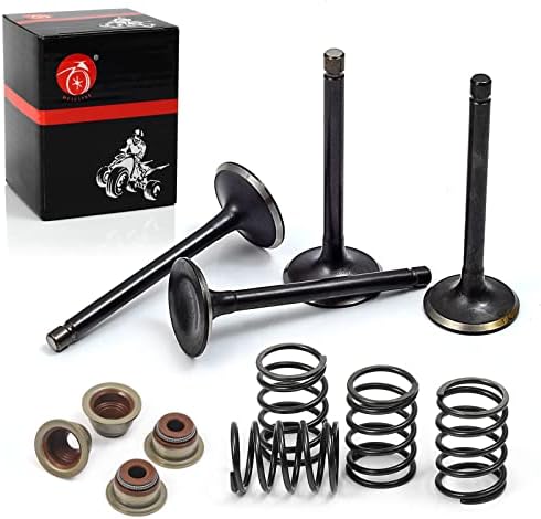 Intake Valve Exhaust Valve and Seals Spring Compatible with EZGO 4 Cycle Gas Golf Cart Fuji Robin 295 cc 350 cc 1992-2002 72507-G01 72508-G01