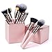 SIXPLUS 15Pcs Pink Makeup Brush Set with Makeup Holder (Pink)