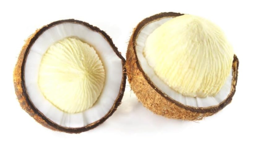 Fresh Edible Coconut Sprout | Pack of 2 Piece | (Nariyal Sprout / Coconut Apple) – 100% Natural & Organic – Healthy Snack, Rich in Fiber & Nutrients/नारियल अंकुर (Nariyal Ankur)/തേങ്ങ മുള (Thenga Mula)/ತೆಂಗಿನ ಮೊಳೆ (Tengina Mole).-image-8