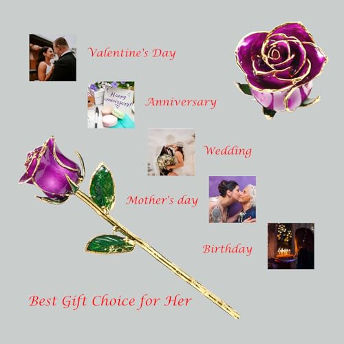 Image of Gold Rose, 24K Gold Dipped Real Rose is Attractive Luster and Natural Shape, Best Gifts for Anniversary Wedding Valentines Day (Purple Original Rose with Stand)