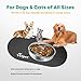 Velpet Stainless Steel Slow Feeder Dog Bowl with Absorbent Non-Slip Mat | Designed to Slow Eating | 304 Stainless Steel, Dishwasher Safe, Durable One-Piece Design for All Breeds